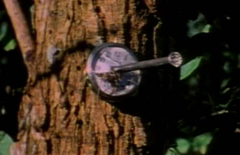 Watch from deleted scene